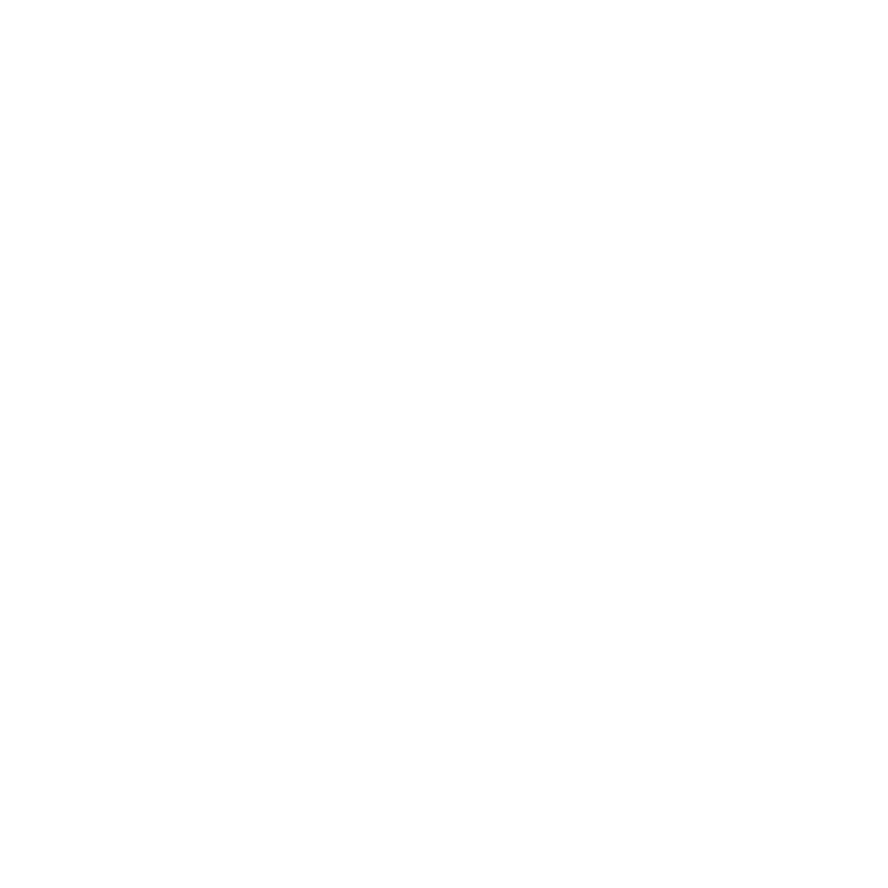 Village Logo Banner