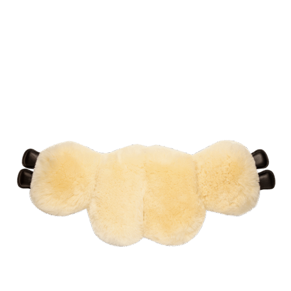 Air bakbeinsbelegg