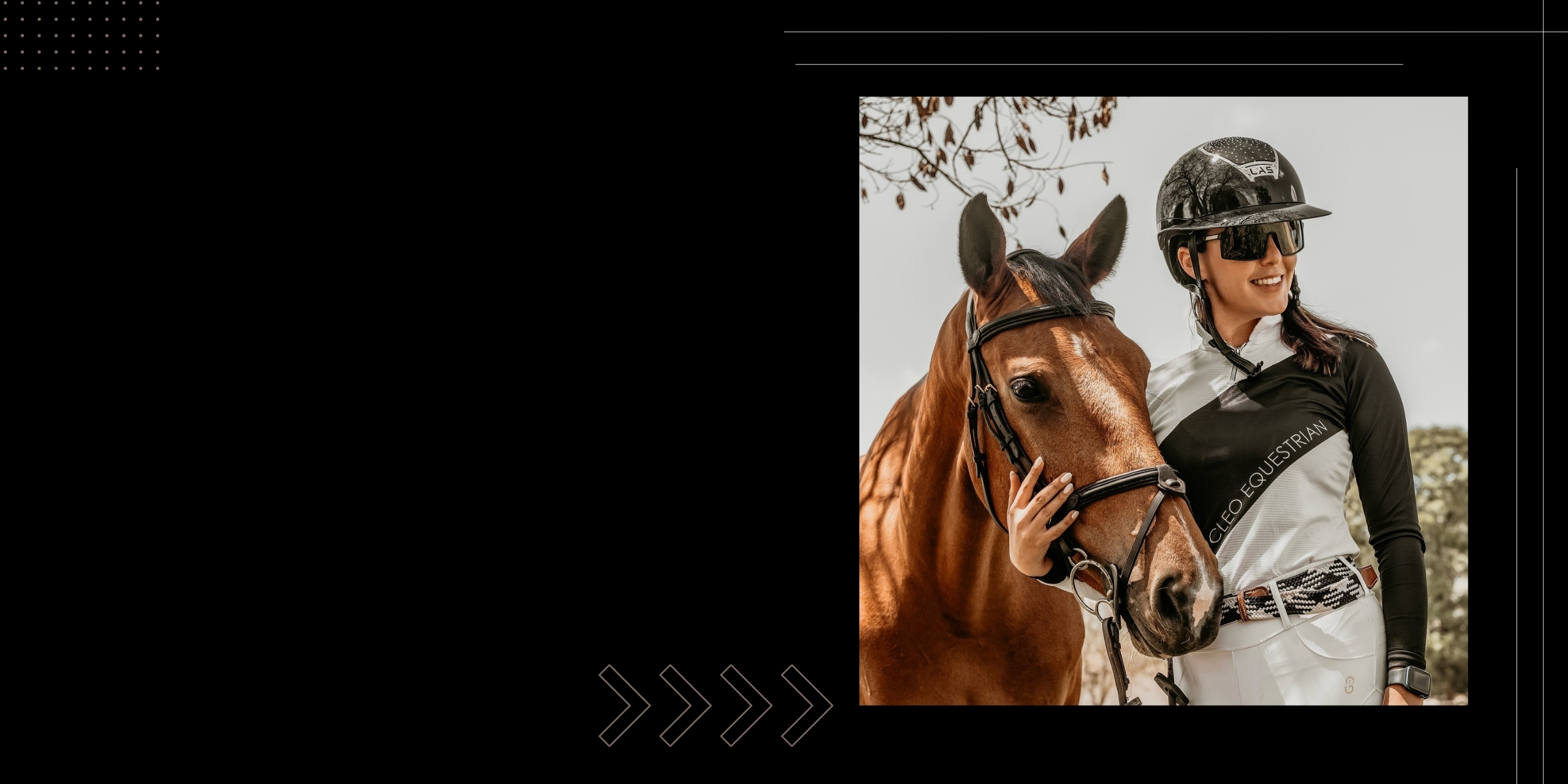 Nytt banner LAS 1.0