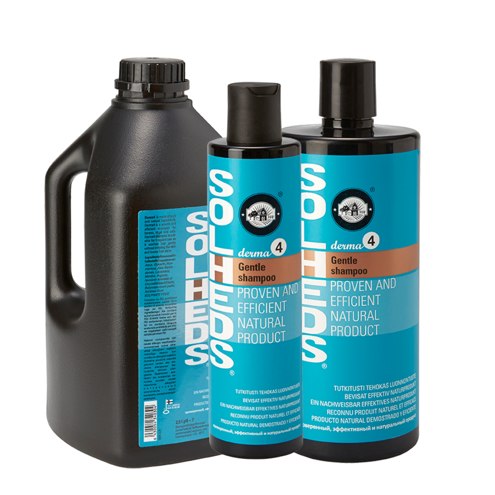 Derma4 Gentle Shampoo