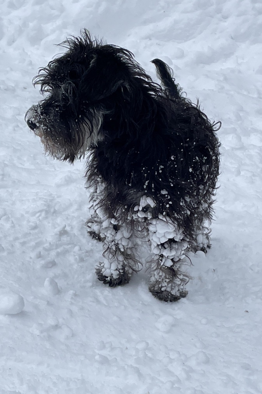 Potepleie instruksjoner 4