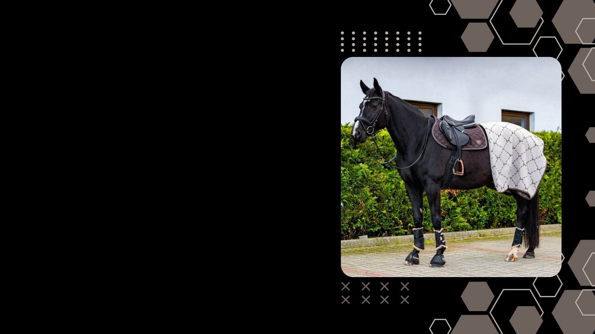 Torpol Forsidebanner