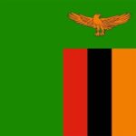 Farge Flagg Zambia Flagg Stigbøyledeksler