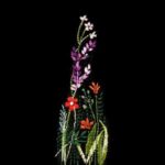 Farge Spring Time Prestige Stigbøyledeksler