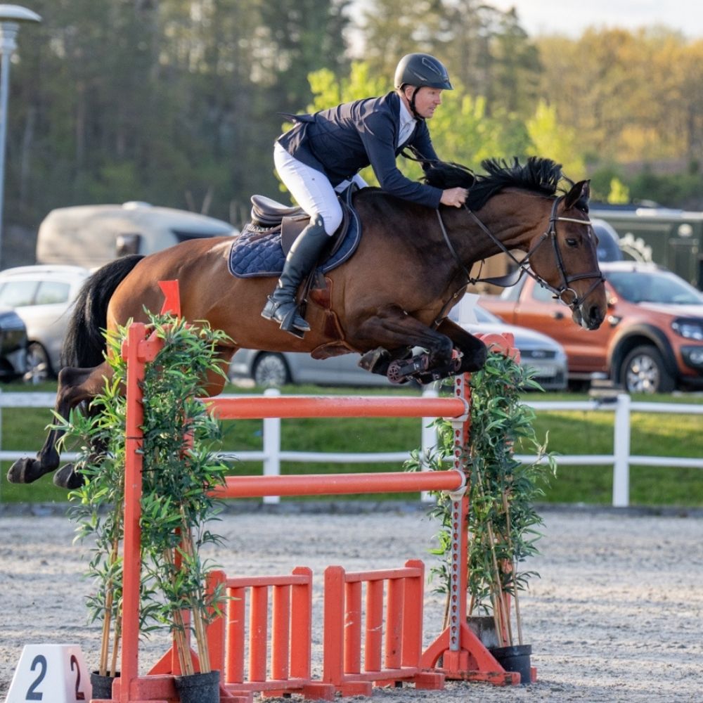 Om oss Avanti Cavalli