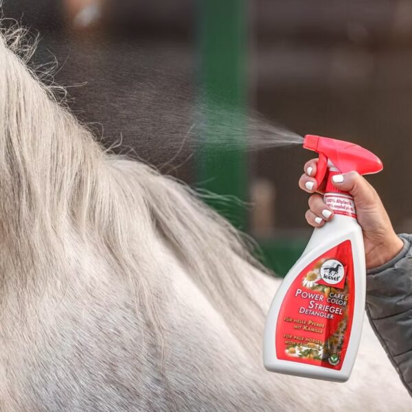 Power Detangler Kamille