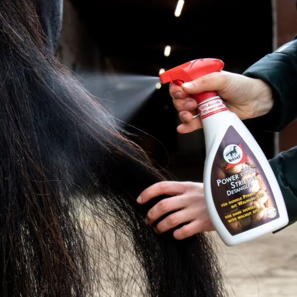 Power Detangler Valnøtt